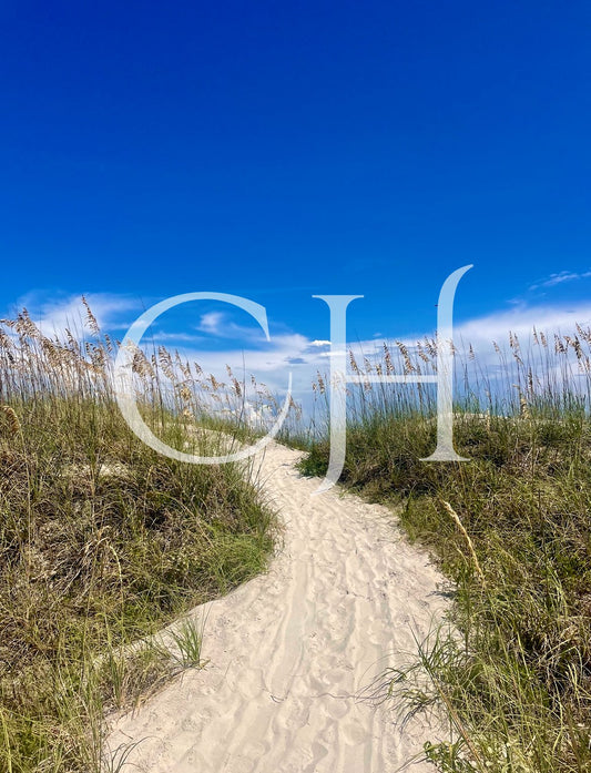 The Art of Beach Photography: Hilton Head Island Edition - Charles Holden Photography