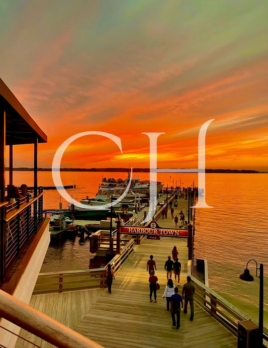 Lowcountry Lifestyle Unveiled: Capturing Community and Events Through the Lens - Charles Holden Photography